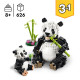 Wilde Tiere: Pandafamilie